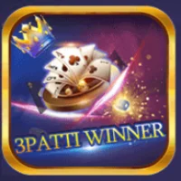 3 Patti Winner icon